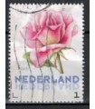 3012 Ac-03 Bloemen zomer roos (o)