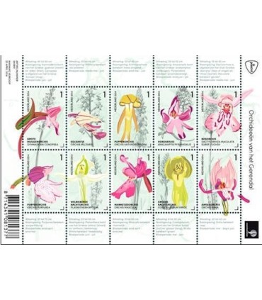 3175 - 3184 Orchidieen uit het Gerendal (xx)