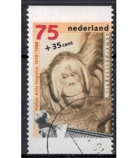 Comb. 279 (o) 