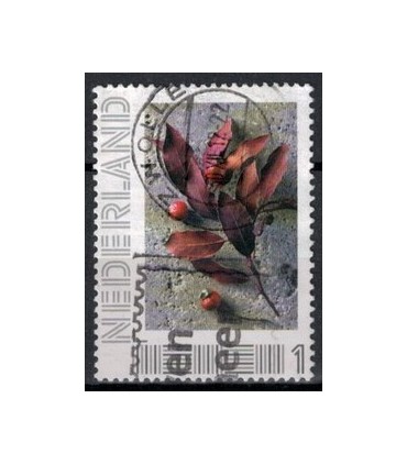 2751 B-6 Beleef de seizoenen, winter (o) 1.