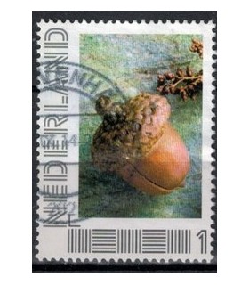 2751 B-5 Beleef de seizoenen, herfst (o) 1.