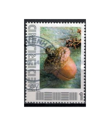 2751 B-5 Beleef de seizoenen, herfst (o) 1.