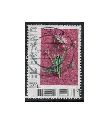 2751 B-2 Zomerlandschappen (o) 3.