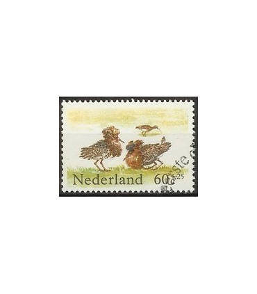 1302 Zomerzegel (o)