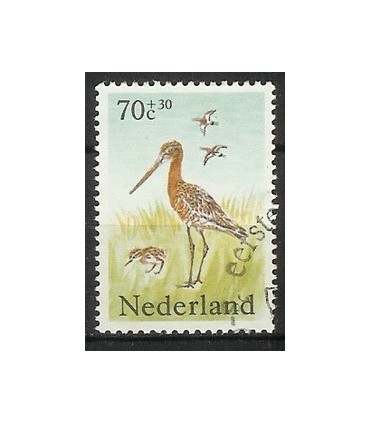 1304 Zomerzegel (o)