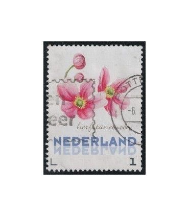 3012 Ac-05 Bloemen najaar herfstanemoon (o)