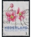 3012 Ac-05 Bloemen najaar herfstanemoon (o)