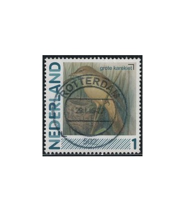 2791Aa 20 grote Karekiet (o)