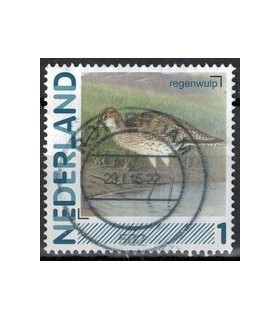 2791Aa 01 Aalscholver (o)
