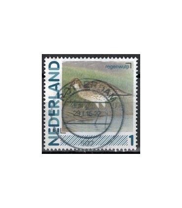 2791Aa 01 Aalscholver (o)