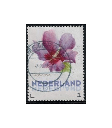 3012 Ac-05 Bloemen najaar hibiscus (o)