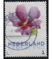 3012 Ac-05 Bloemen najaar hibiscus (o)