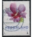 3012 Ac-05 Bloemen najaar hibiscus (o)