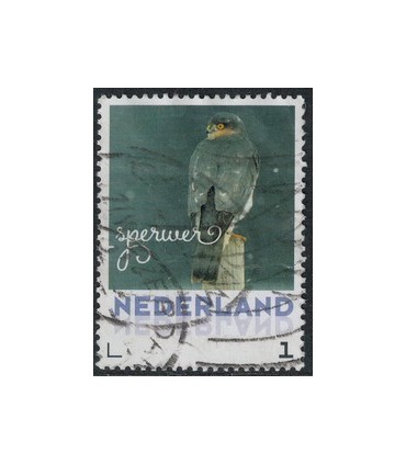 2017 Wintervogels Sperwer (o)