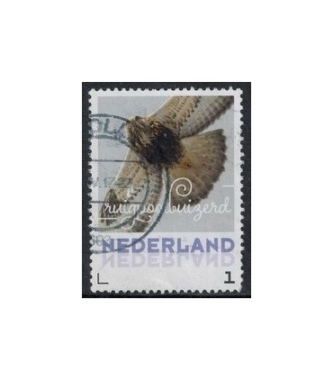 2017 Wintervogels Ruigoordbuizerd (o)