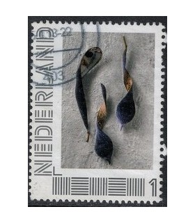 2751 B-6 Beleef de seizoenen, winter (o) 3.