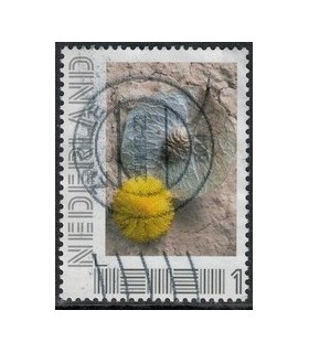 2751 B-6 Beleef de seizoenen, winter (o) 2.