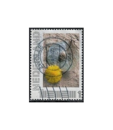 2751 B-6 Beleef de seizoenen, winter (o) 2.