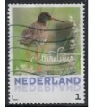 2017 Lentevogels Tureluur (o)