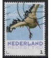 2017 Lentevogels Ooievaar (o)