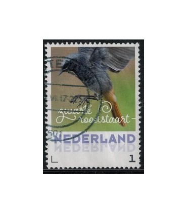 2017 Lentevogels zwarte roodstaart (o)