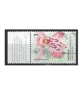 3179 Bos Orchis (o) TAB