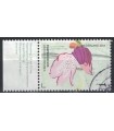 3180 Purper Orchis (o) TAB