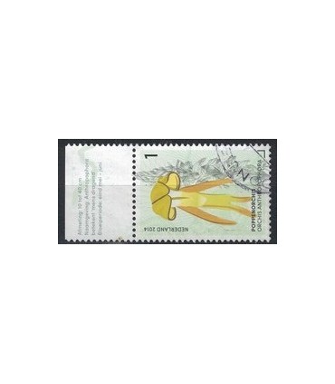 3177 Poppen Orchis (o) TAB