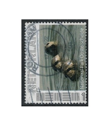 Nationaalpark Oosterschelde (o) 4.