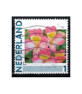 2791 Ha-24 Bloemen (o)