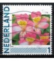 2791 Ha-24 Bloemen (o)