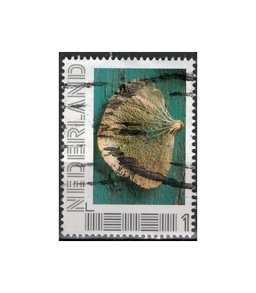 2751 B-5 Beleef de seizoenen, herfst (o) 1.