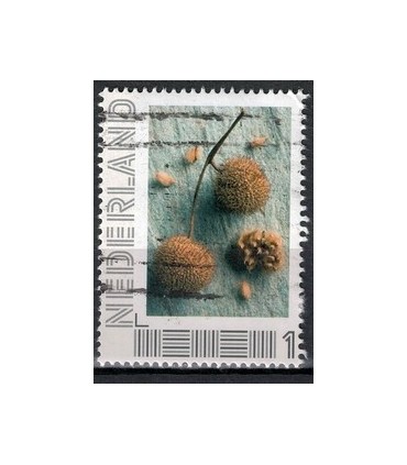 2751 B-5 Beleef de seizoenen, herfst (o) 3.