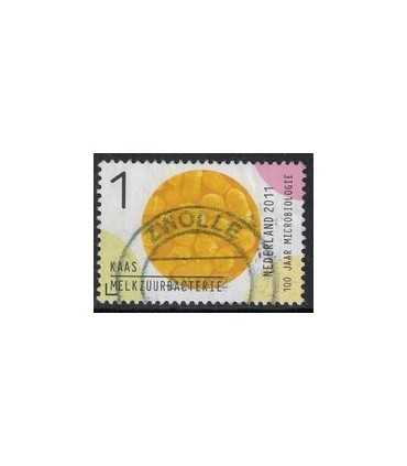 2836 Microbiologie kaas (o)