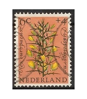 739 Zomerzegel (o)