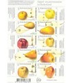 3431 - 3440 Appel en perenrassen (xx) vel