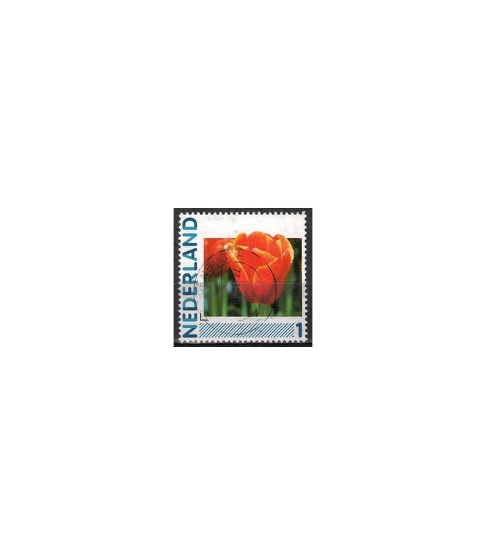 2791 Ha-23 Tulp (o) 2791 Ha-23 Tulp (o)