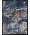 3602 Beleef de natuur Rugstreeppad (o)