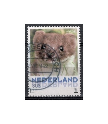 3013 Zoogdieren Wezel (o)