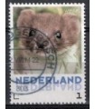 3013 Zoogdieren Wezel (o)