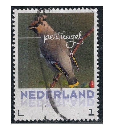 2017 Herfstvogels Pestvogel (o)