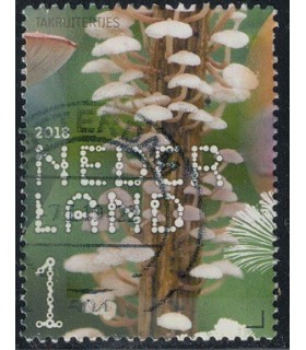 3686 Beleef de natuur Takruiter (o)