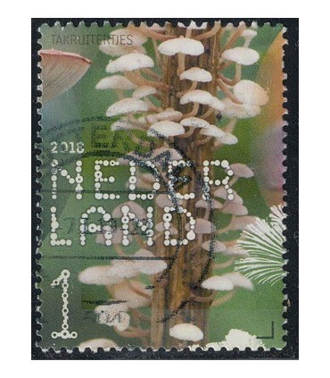 3686 Beleef de natuur Takruiter (o)