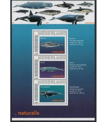 2751 D-07 Naturalis (xx)