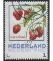 Vruchten Aardbei (o)