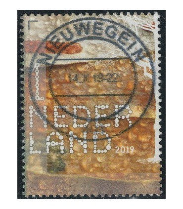 3785 Beleef de natuur Berk (o)