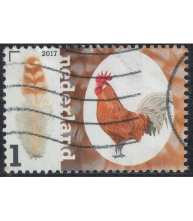 3495 Kippenrassen Fries Hoen (o)