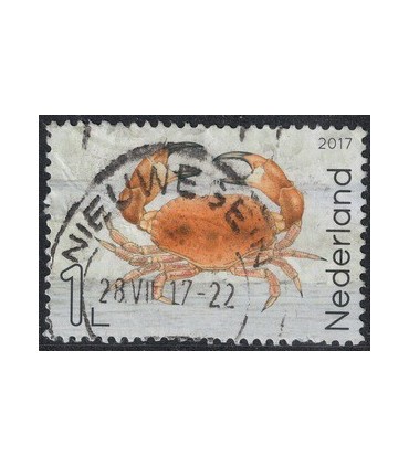 3552 Leven in de Noordzee Noordzeekrab (o)