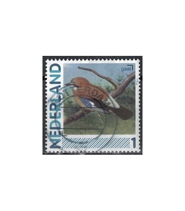 2791Aa 11 Fazant (o)