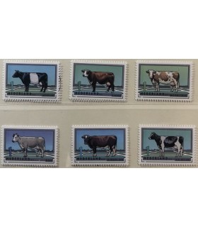 2973 - 2978 Rundveerassen (xx) los